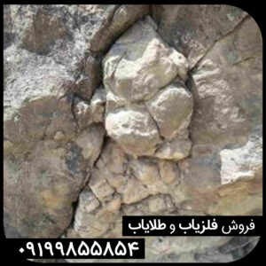 نماد ساروج