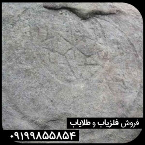 نماد ستاره