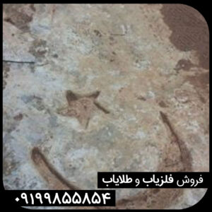 نماد ستاره
