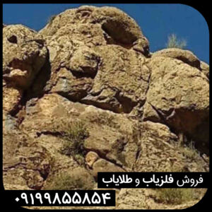 نماد شیر 