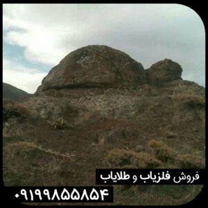 نماد لاکپشت