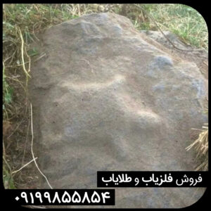 نماد لاکپشت