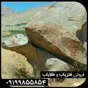 نماد لاکپشت