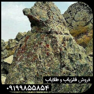 نماد پرنده