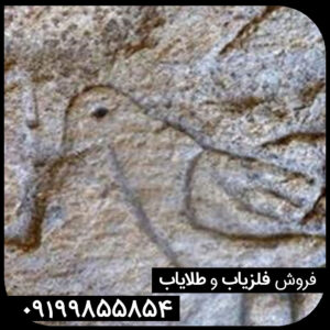 نماد پرنده