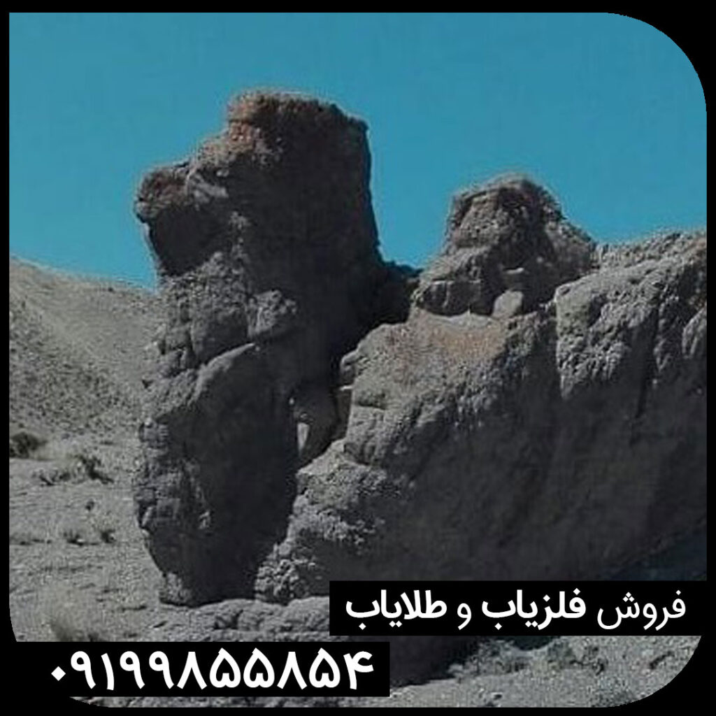 نماد شتر