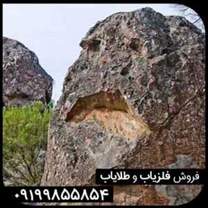 نماد انسان