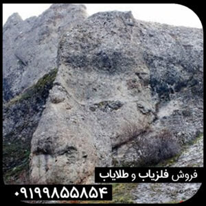 نماد انسان