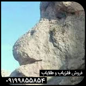 نماد انسان