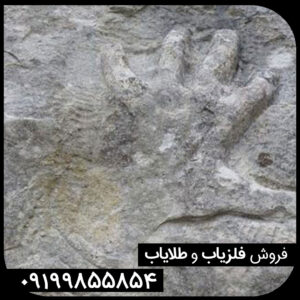 نماد دست