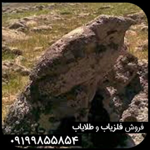 نماد عقاب