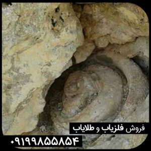 نماد مار 