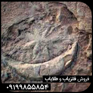نماد ماه