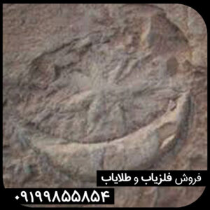 نماد ماه