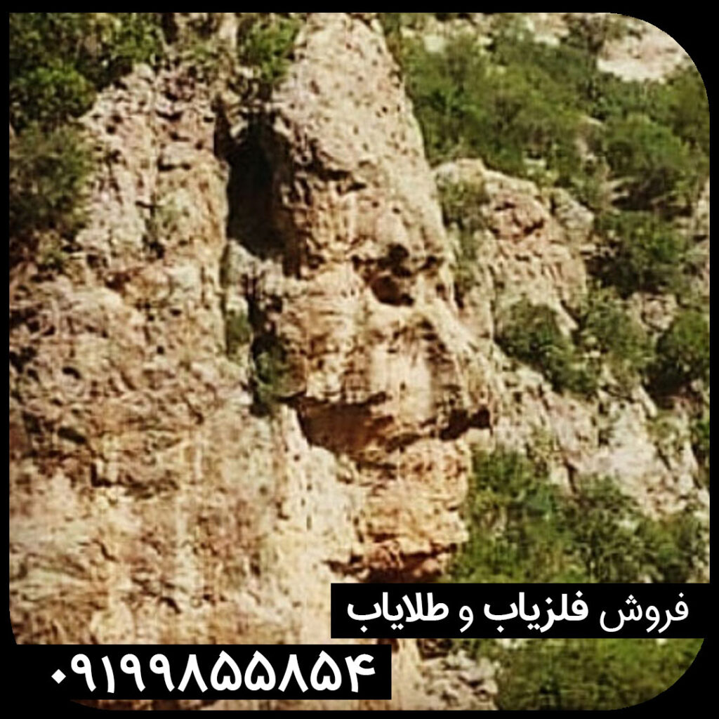 نماد انسان