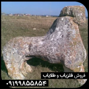 نماد شیر در گنج‌ یابی