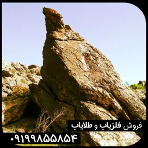 نماد پرنده در دفینه یابی