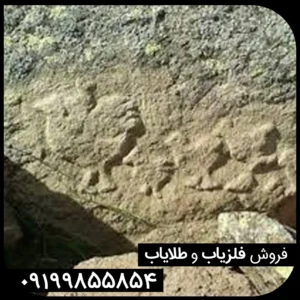 نماد پرنده در دفینه یابی