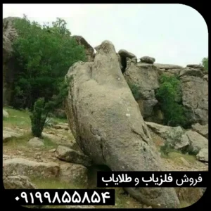 نماد پرنده در دفینه یابی