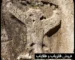 نماد پرنده در دفینه یابی