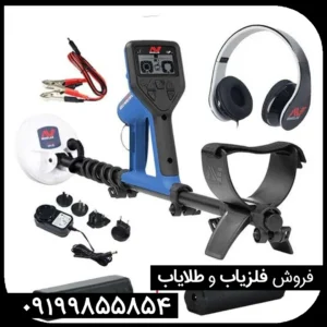 فلزیاب گلدمانستر هزار