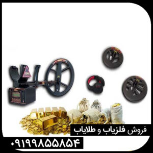 فلزیاب کوینیکس زد 6