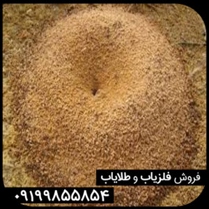 نقش مورچه در گنج و دفینه