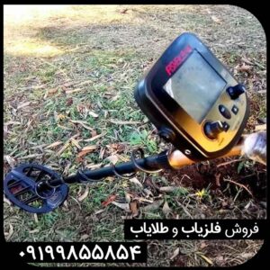 فلزیاب فیشر گلد باگ پرو