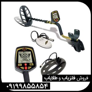 فلزیاب فیشر گلد باگ پرو